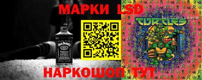 скорость Бийск