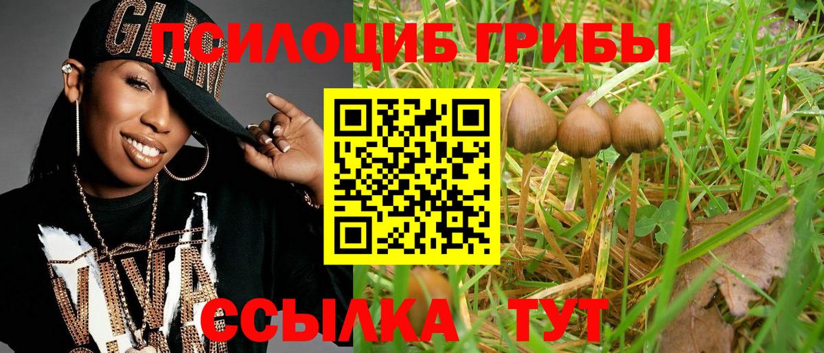 Калуга  Галлюциногенные грибы Magic Shrooms  Вход с VPN 