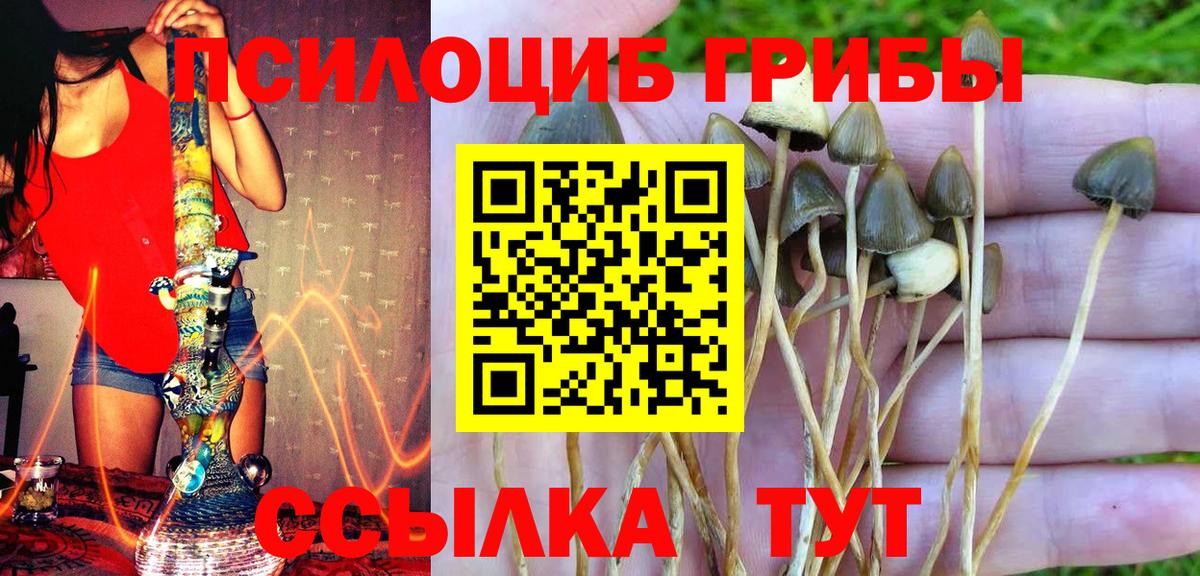 Калуга  Меф МЯУ МЯУ  Вход с VPN  Метадон  Мефедрон кристаллы  Бошки Шишки  Каннабис 